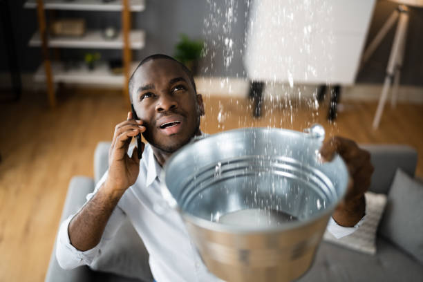 Best Basement water damage restoration  in Cresson, PA