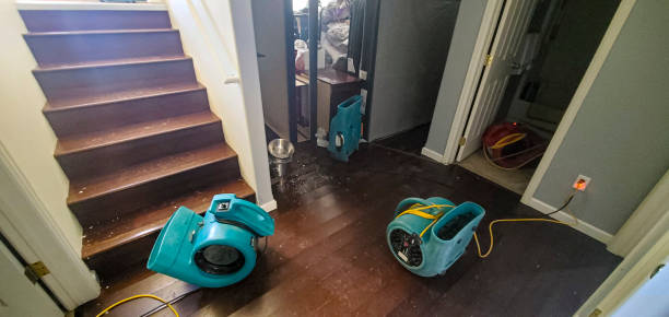 Best Sewage cleanup and water damage restoration  in Cresson, PA