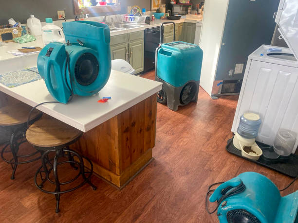 Best Flood damage cleanup  in Cresson, PA
