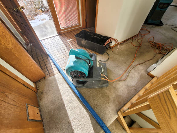 Best Water damage cleanup near me  in Cresson, PA
