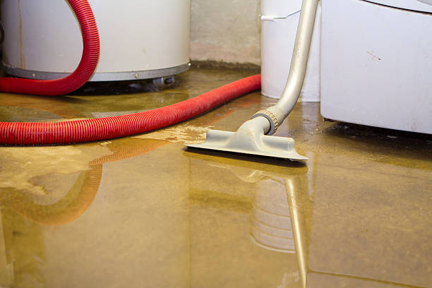 Best Water damage restoration near me  in Cresson, PA