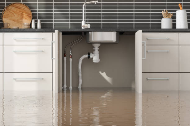 Best Carpet water damage restoration  in Cresson, PA